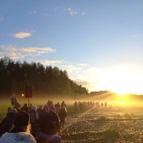 Photo #7825880