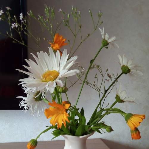 Photo #7825917