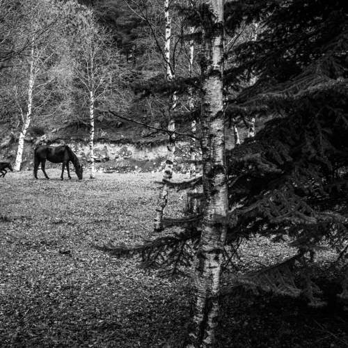 Photo #7825979