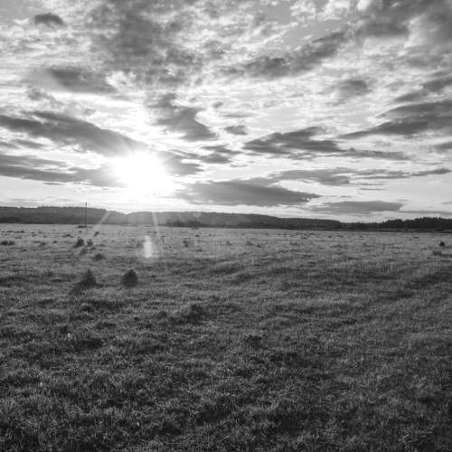Photo #7826716
