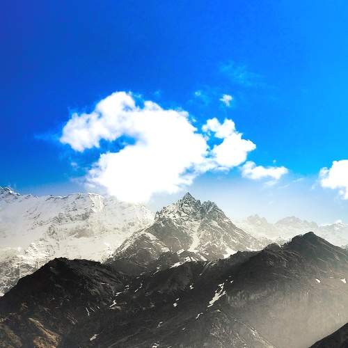 Photo #7826925