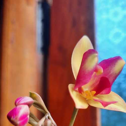 Photo #7827325