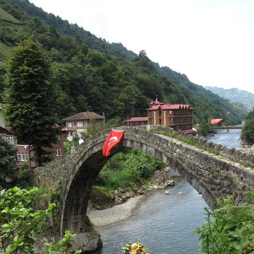 Photo #7827929