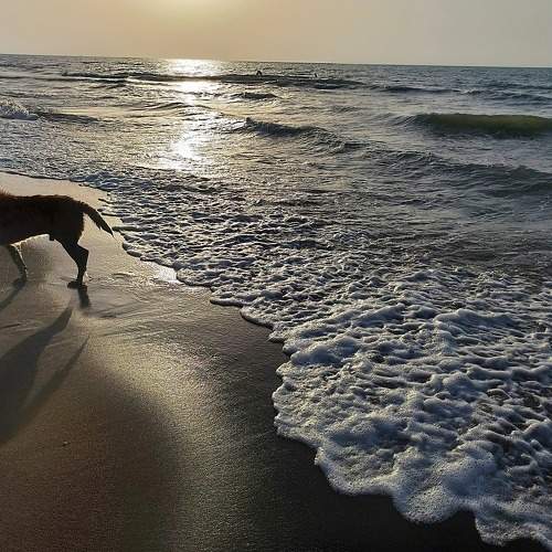Photo #7827996