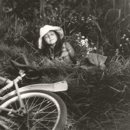 Photo #7828158