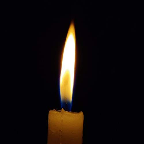 Photo #7828296