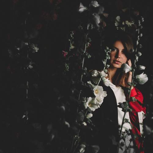 Photo #7828601