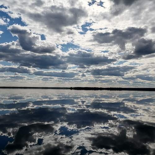 Photo #7828971