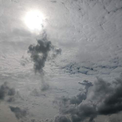 Photo #7829253