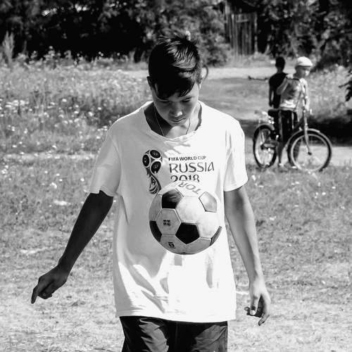 Photo #7830545