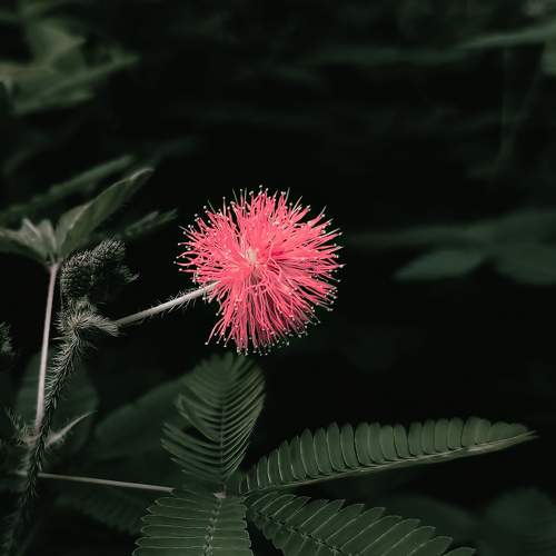 Photo #7831042