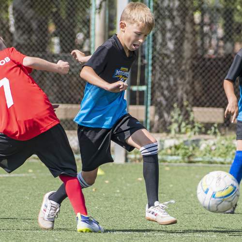 Photo #7831428