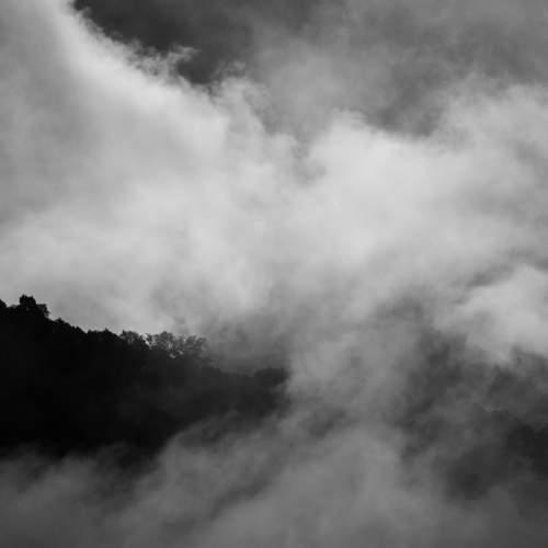 Photo #7831601