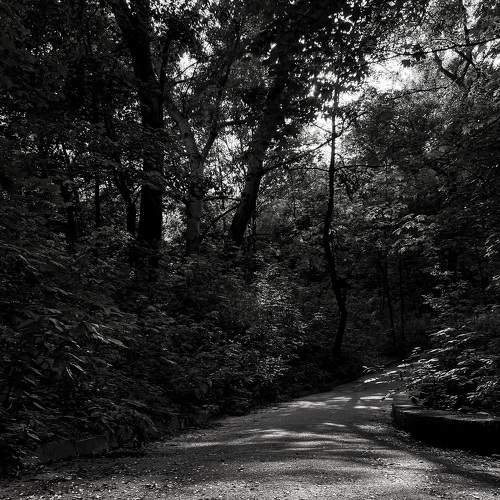Photo #7832297