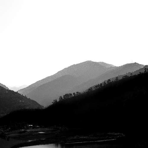 Photo #7832441