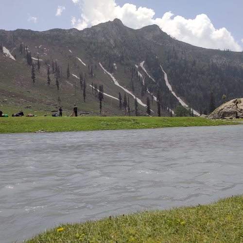 Photo #7832765