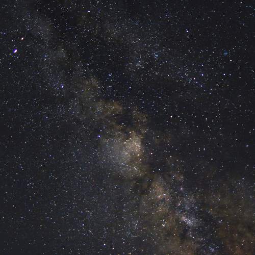 Photo #7833255