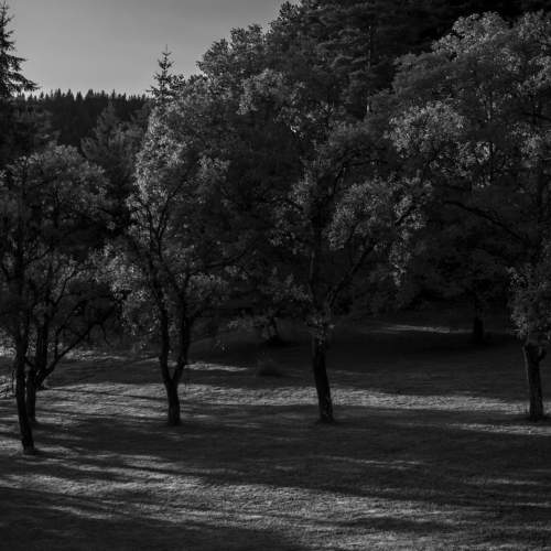 Photo #7833470
