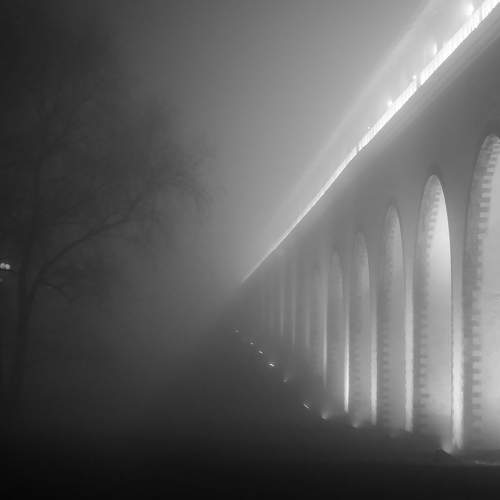 Photo #7833532