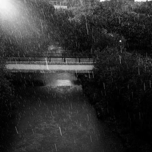 Photo #7833945