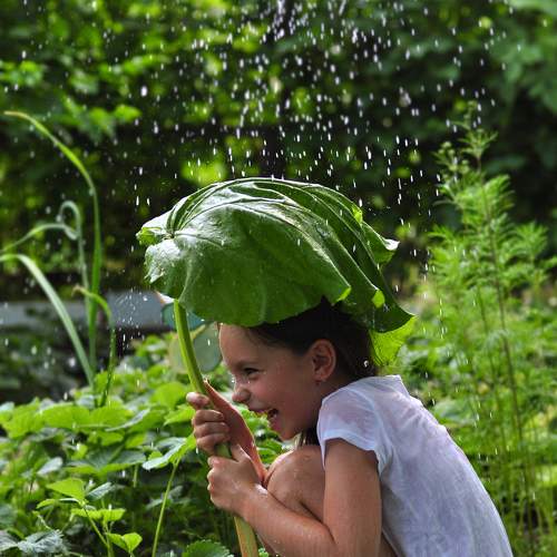 Photo #7834167