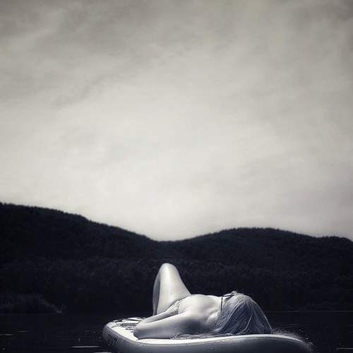 Photo #7834622