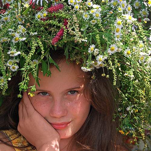 Photo #7834777