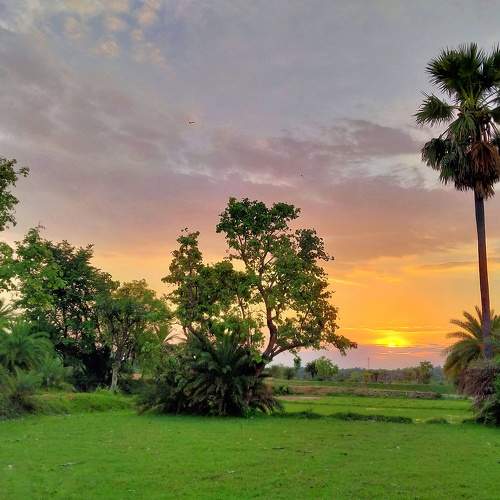 Photo #7834831