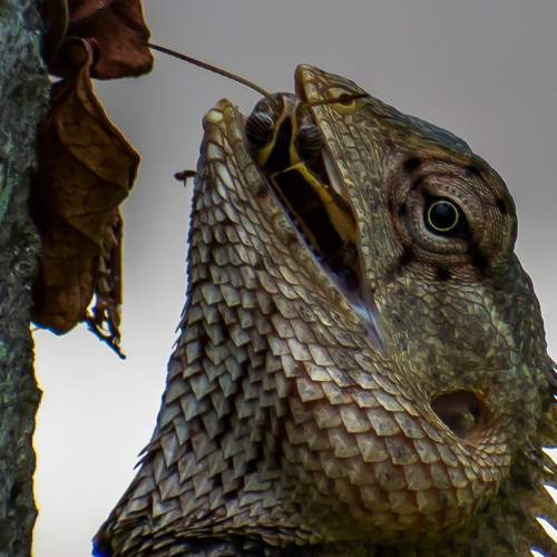 Photo #7834937