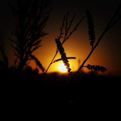 Photo #7835364