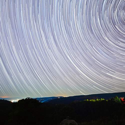 Photo #7835510