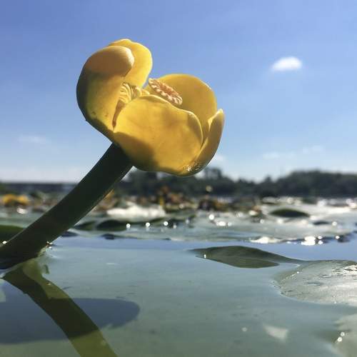 Photo #7835972