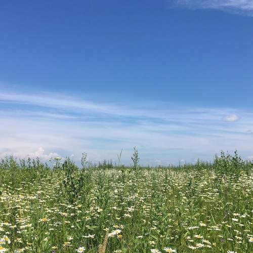 Photo #7835975