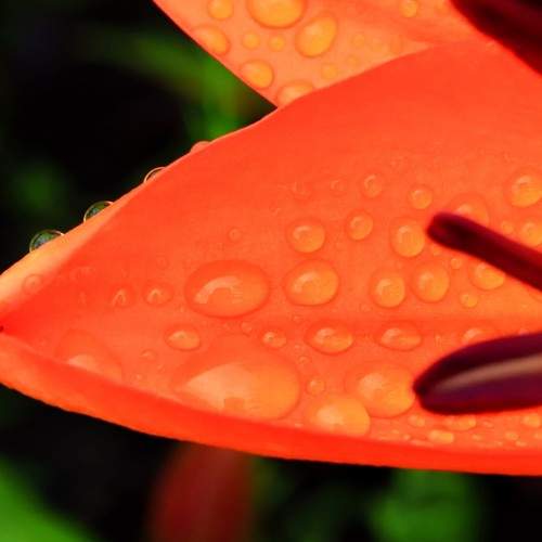 Photo #7836095