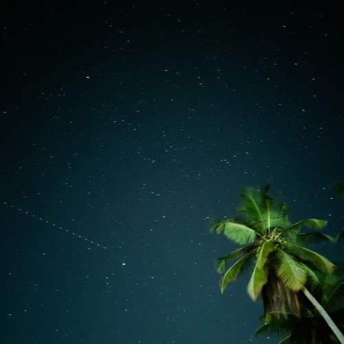 Photo #7836136