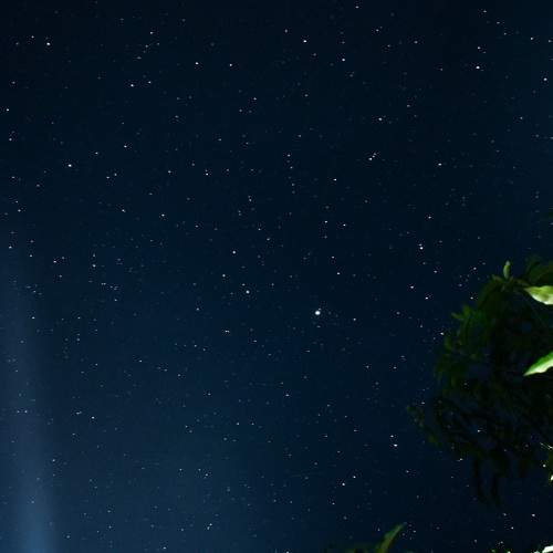 Photo #7836150