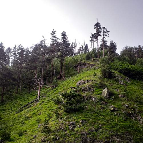 Photo #7836249