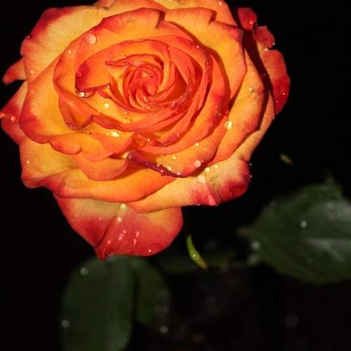 Photo #7836303