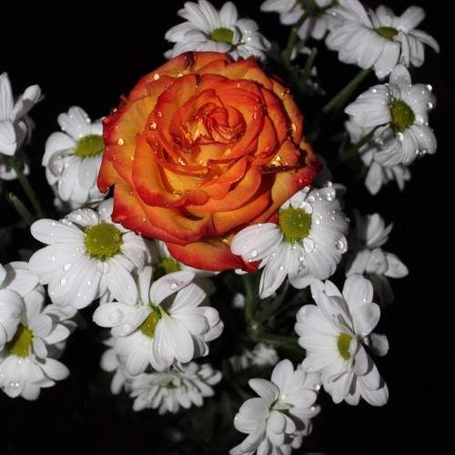 Photo #7836313
