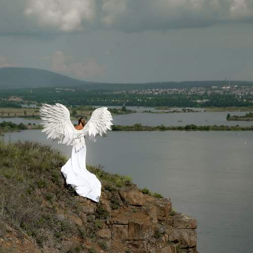 Photo #7836700