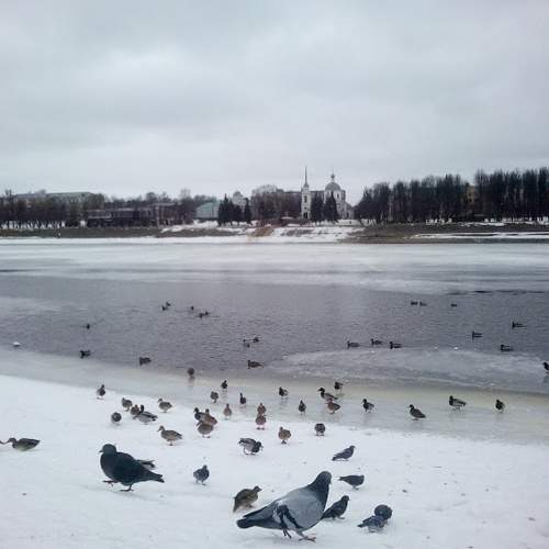 Photo #7836898