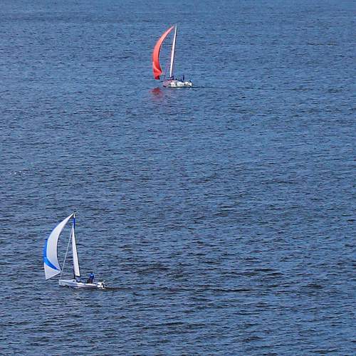 Photo #7837123