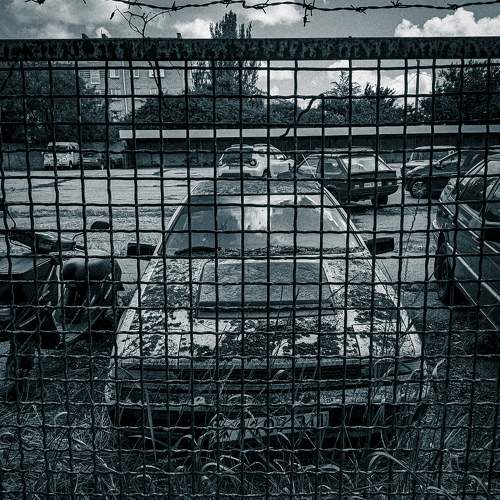 Photo #7837185