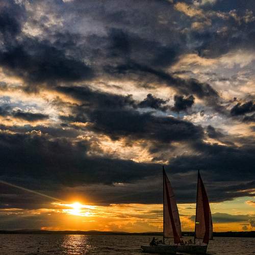 Photo #7837573