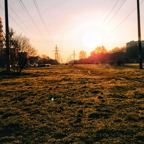 Photo #7837721