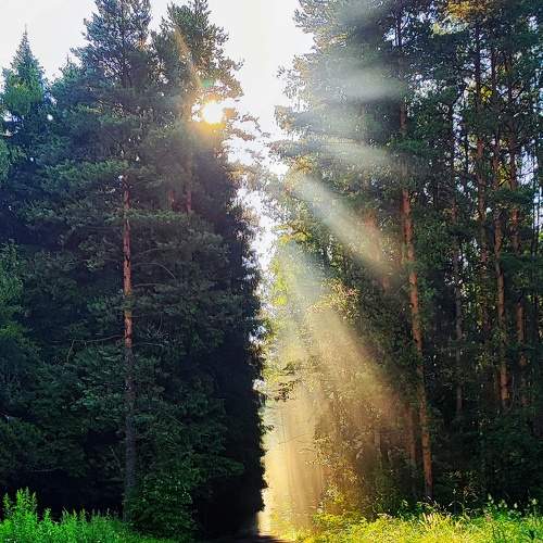 Photo #7838128