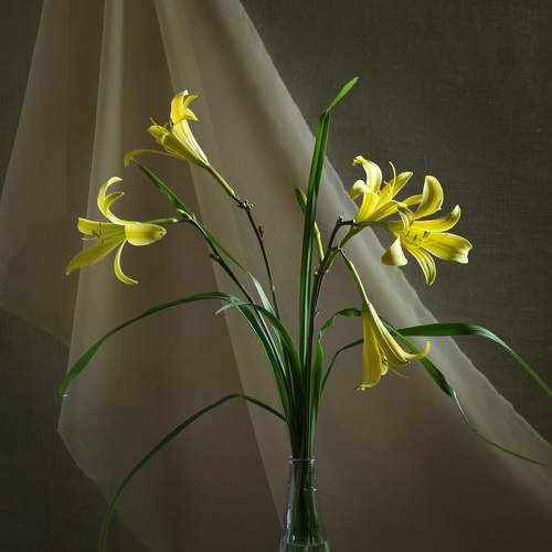 Photo #7838311
