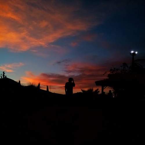Photo #7838667