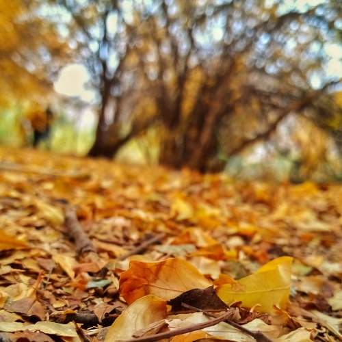 Photo #7838670