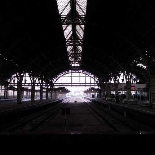 Photo #7839752